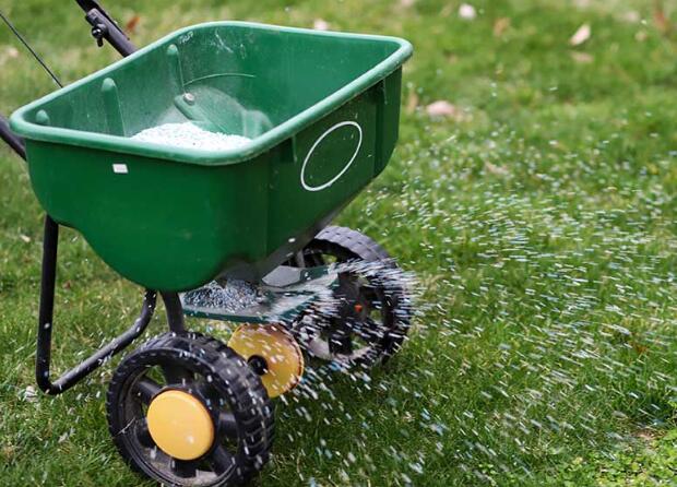 Image of third carousel