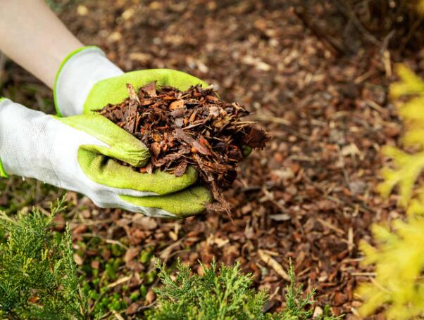 Image of third carousel