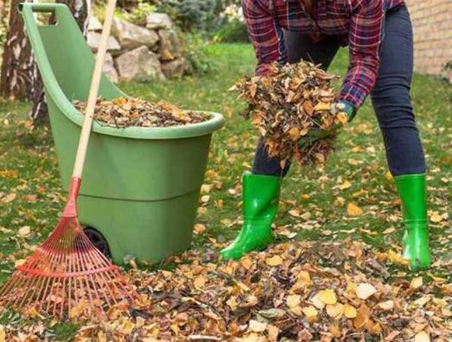 Image of third carousel