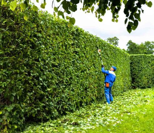 Image of third carousel