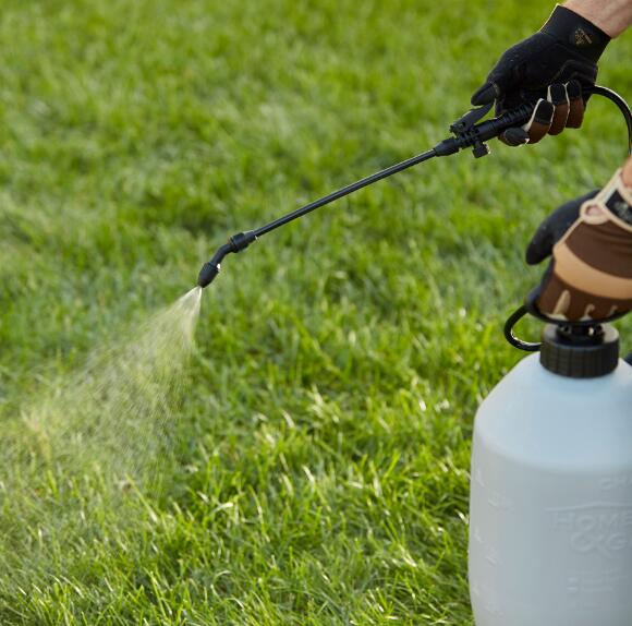 Image of third carousel