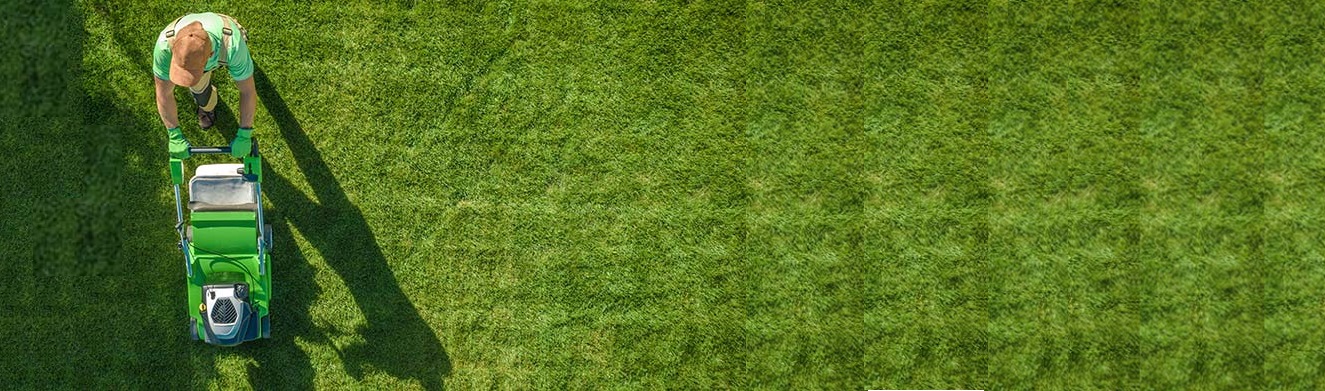 Image of first carousel